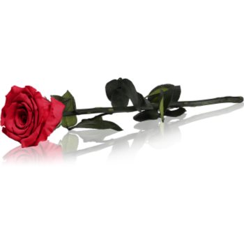 RoseAmor Red trandafir stabilizat pe tulpină 30 cm - imagine 2